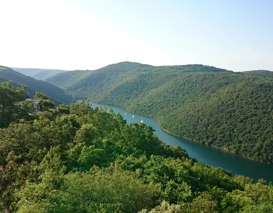 boat trip to Limski kanal