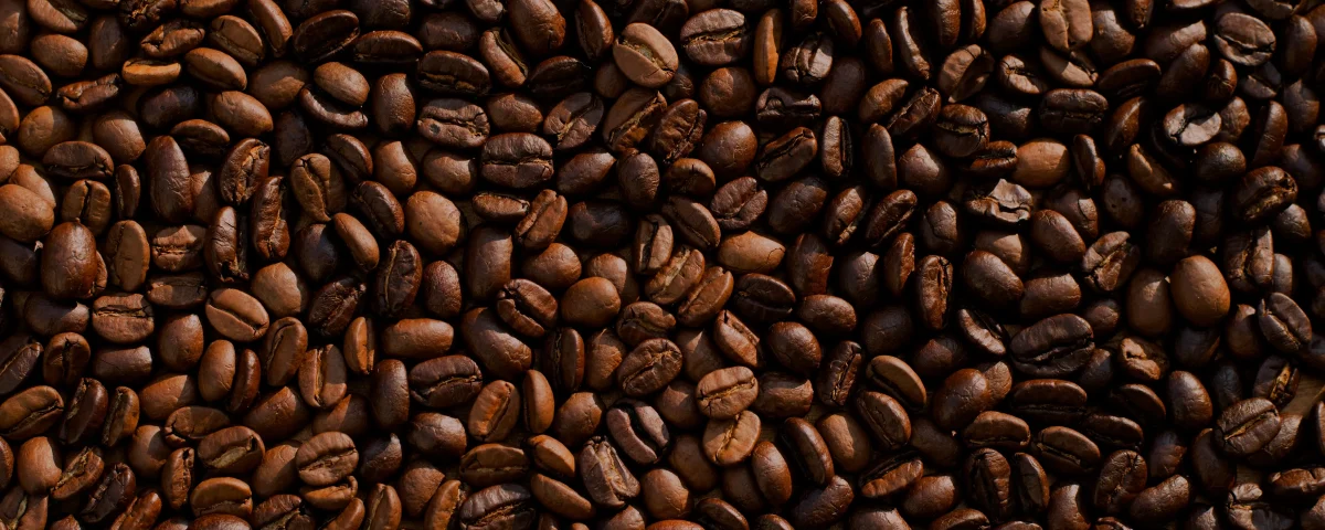 Tražiš specialty coffee u Istri? Otkrij najbolja mjesta za kavu u Puli i Rovinju, uključujući lokalne pržionice i skrivene lokacije.